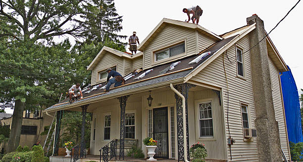 Professional Roofing Contractor in Rockdale, IL